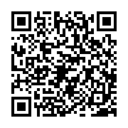 QR code for NI03934