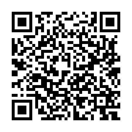 QR code for NI38265