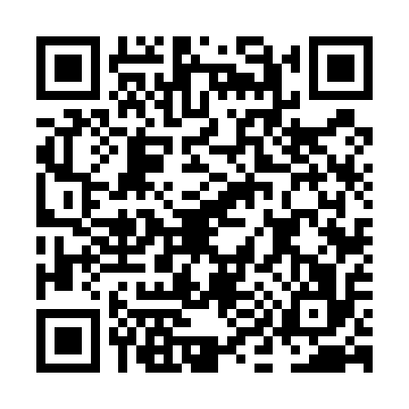QR code for NI65161