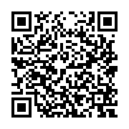 QR code for NI91447