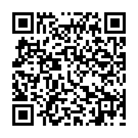 QR code for NII389