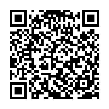 QR code for NII495