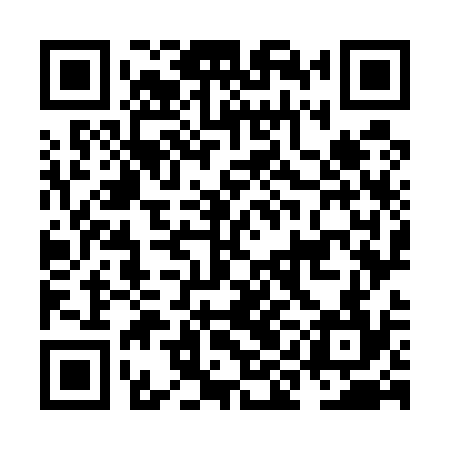 QR code for NIO534