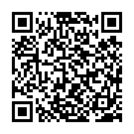 QR code for NIX633