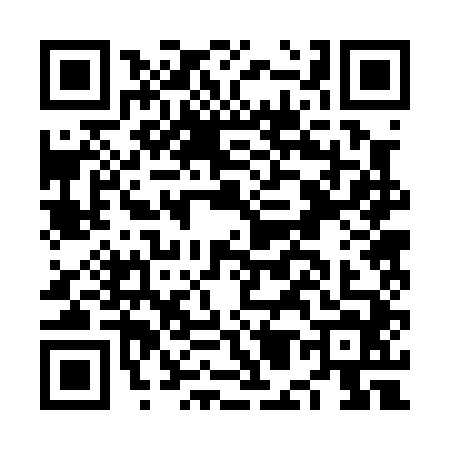 QR code for NM20441