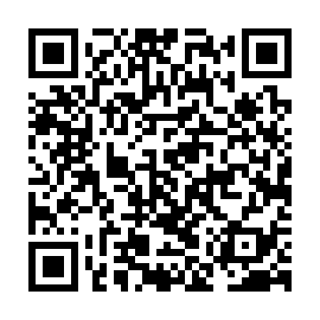 QR code for NMT339
