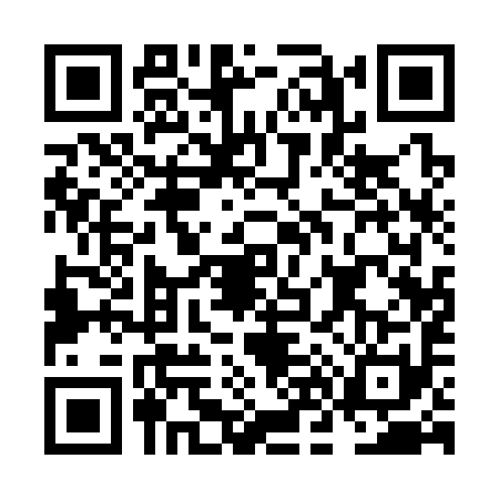QR code for NN13913