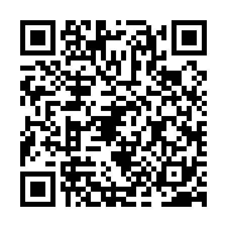 QR code for NN21317