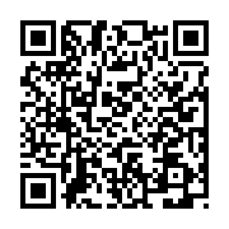 QR code for NN23529
