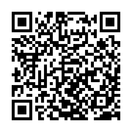 QR code for NN2380