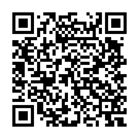 QR code for NN5453