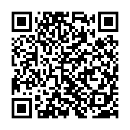 QR code for NNI298