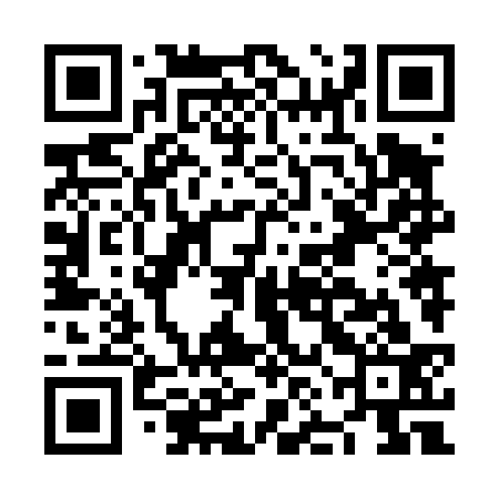 QR code for NNN433