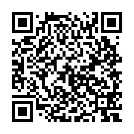 QR code for NNO398