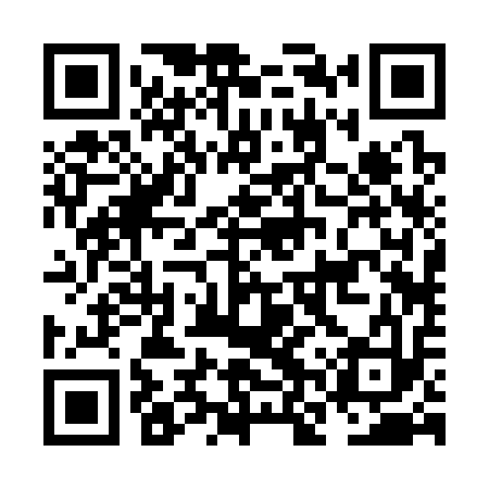QR code for NNR313