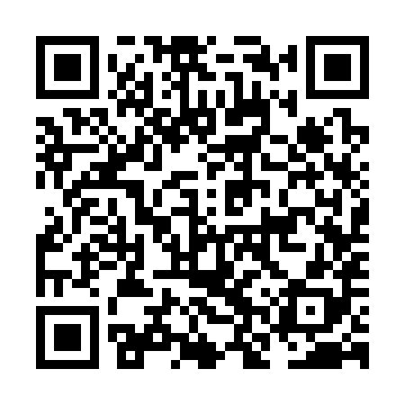 QR code for NNS388