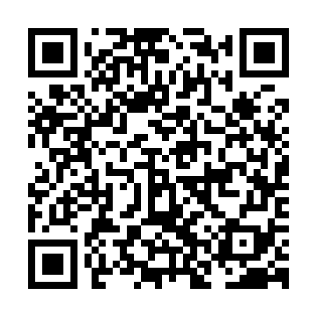 QR code for NNS979