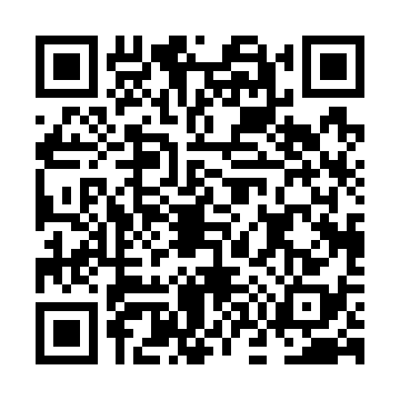 QR code for NO07384