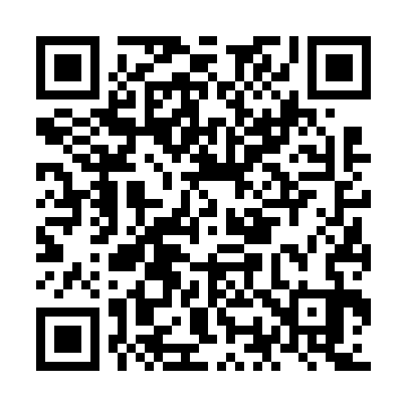 QR code for NO6633