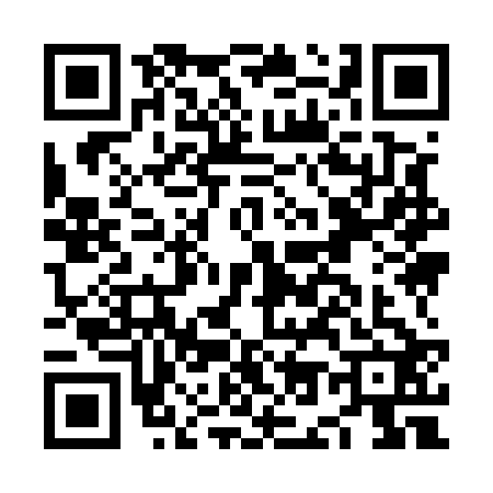 QR code for NO95225