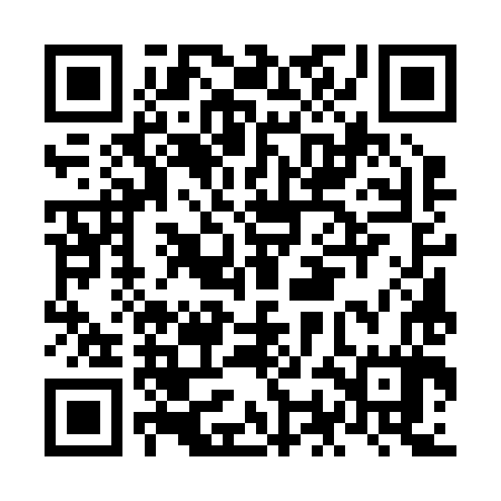 QR code for NOE287