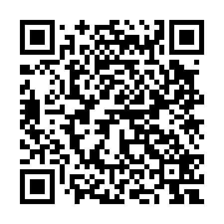 QR code for NOK029