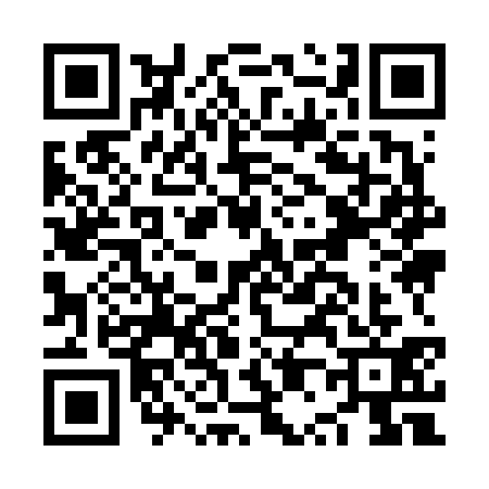 QR code for NP96311