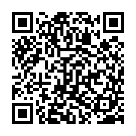 QR code for NPI541