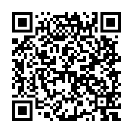 QR code for NPP599