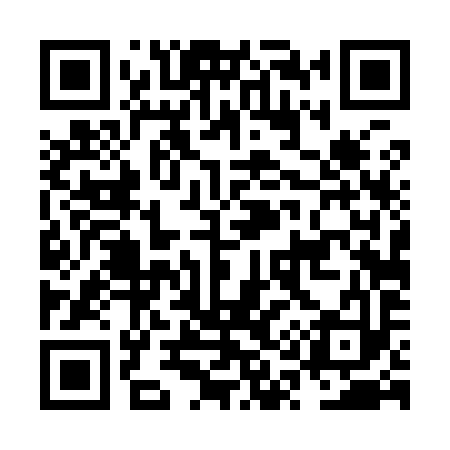 QR code for NQ4993
