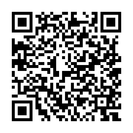 QR code for NQ79413