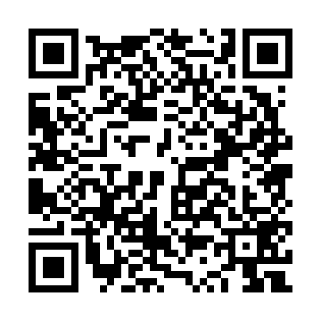 QR code for NS06596