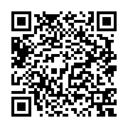 QR code for NS94300