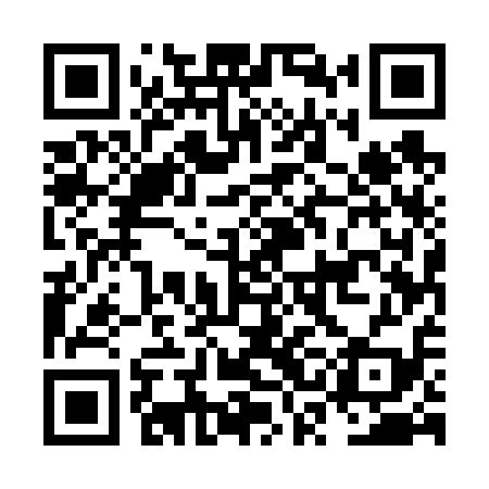 QR code for NSE619