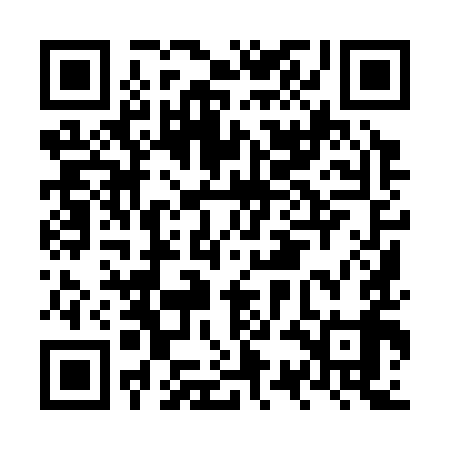 QR code for NSI399