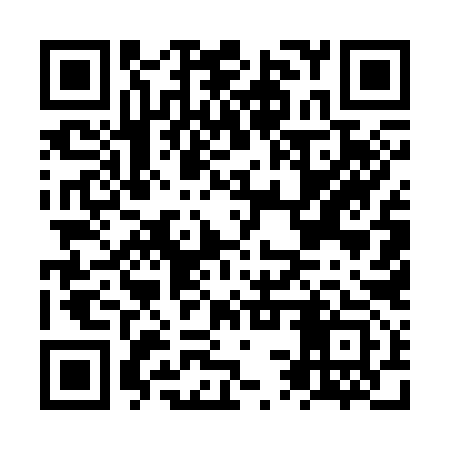QR code for NSU393