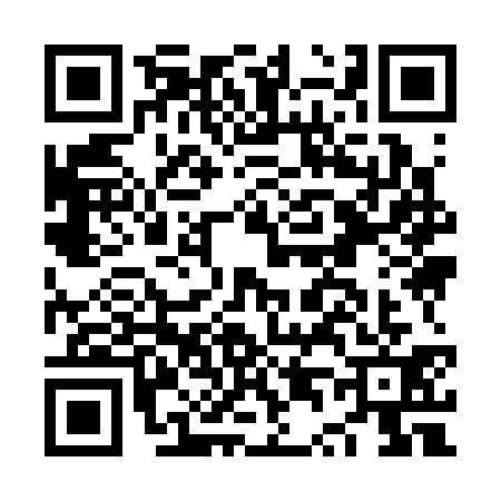 QR code for NT93317