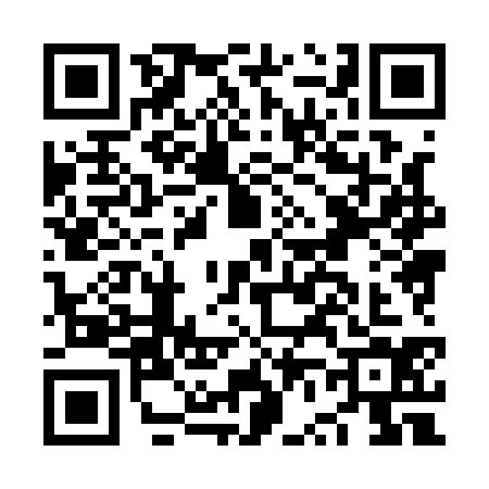 QR code for NV81341