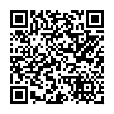QR code for NX0636