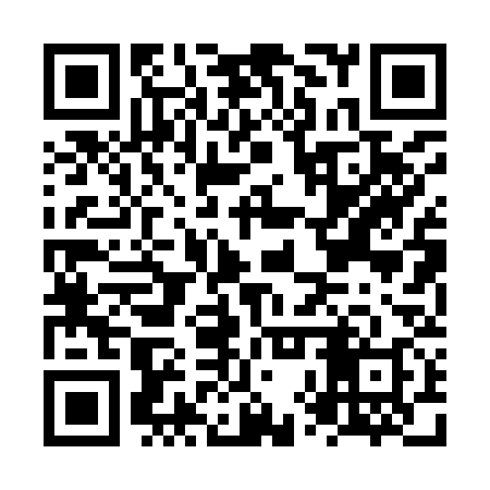 QR code for NXP938