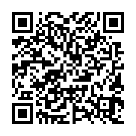 QR code for NYE741