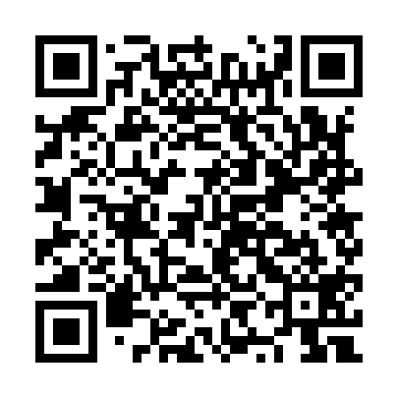 QR code for NYG919