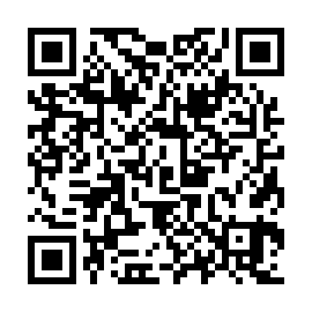 QR code for O03161