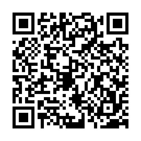 QR code for O063161