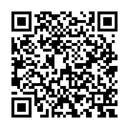 QR code for O113126