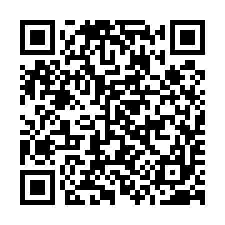 QR code for O13597