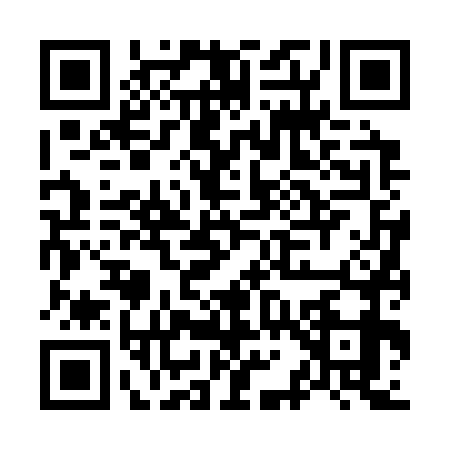 QR code for O163795