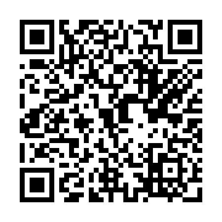 QR code for O313197