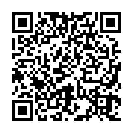 QR code for O318602