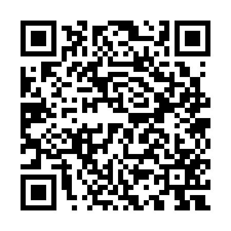 QR code for O333573
